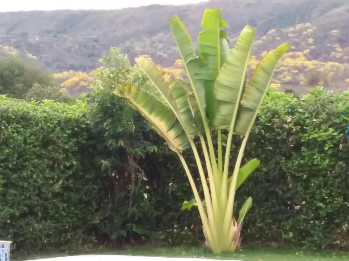 C&H Casa Campestre El Oasis Ricaurte Girardot Bed and Breakfast Exteriör bild